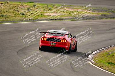 media/Feb-25-2024-Speed Ventures (Sun) [[b9a2a97a4d]]/Mustang Drivers Club/Session 1 (Turns 4 and 5)/